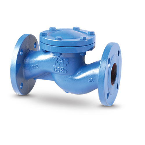 Lift Type Check Valve